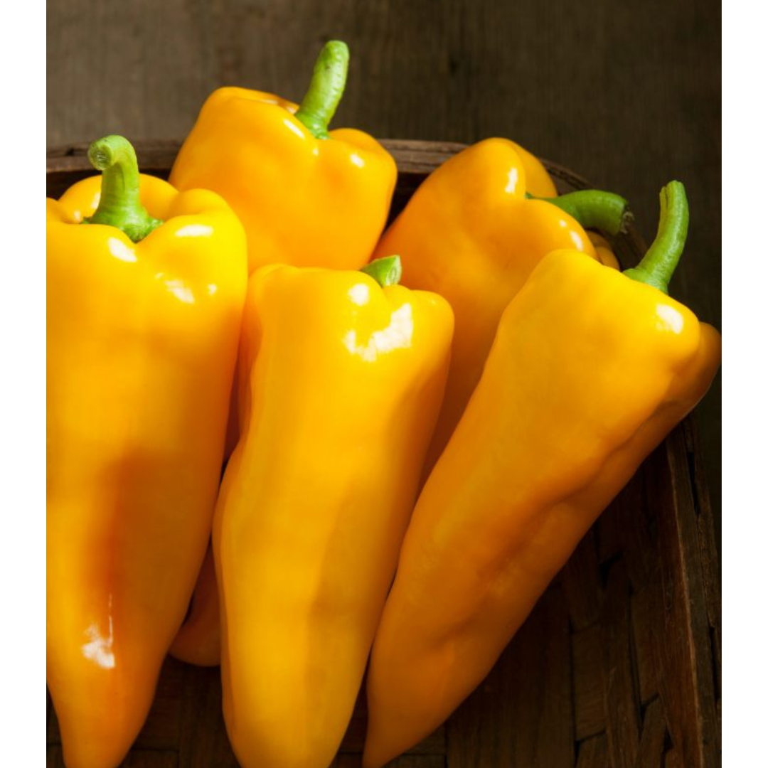 Sweet Banana Peppers 10 Seeds