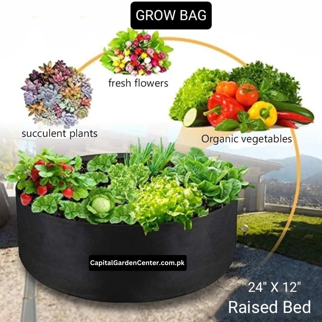 Raised Bed Grow Bag No Handle 24*12 Inches