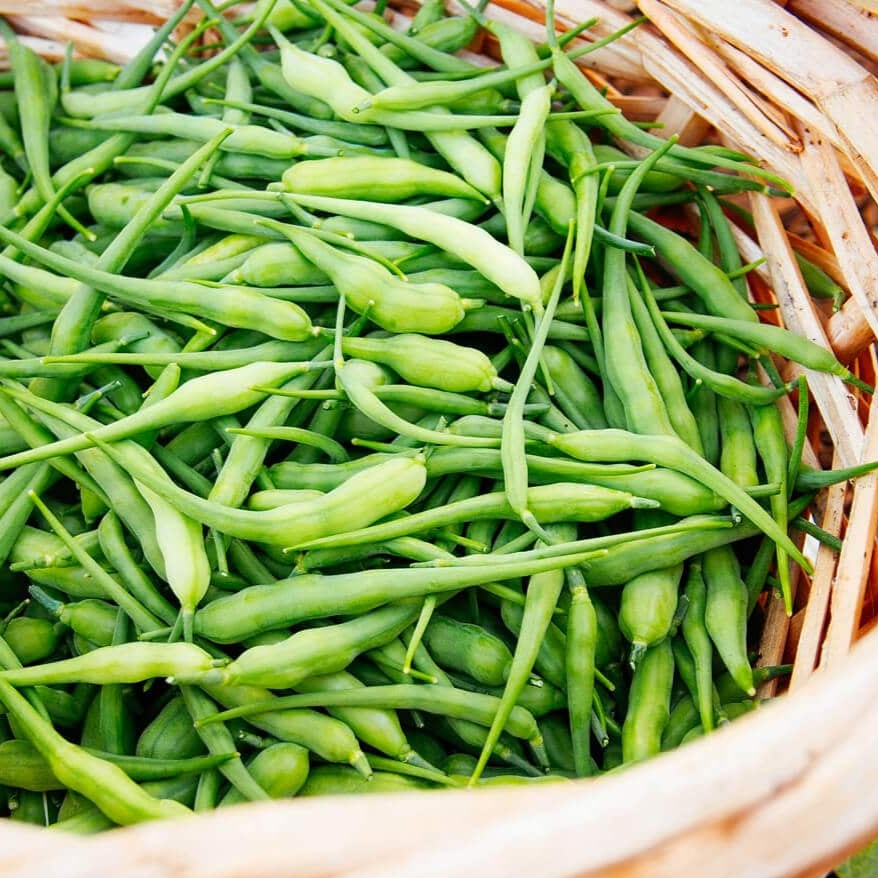 F1 Hybrid Radish Pods 100+ Seeds