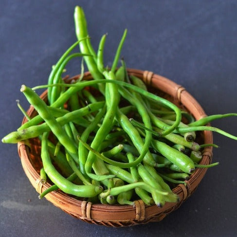 F1 Hybrid Radish Pods 100+ Seeds