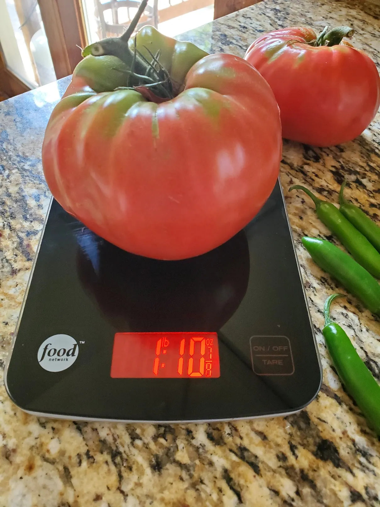 Pomodoro Tomatoes 15 Seeds