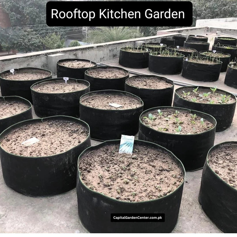 Raised Bed Grow Bag No Handle 36*12 Inches