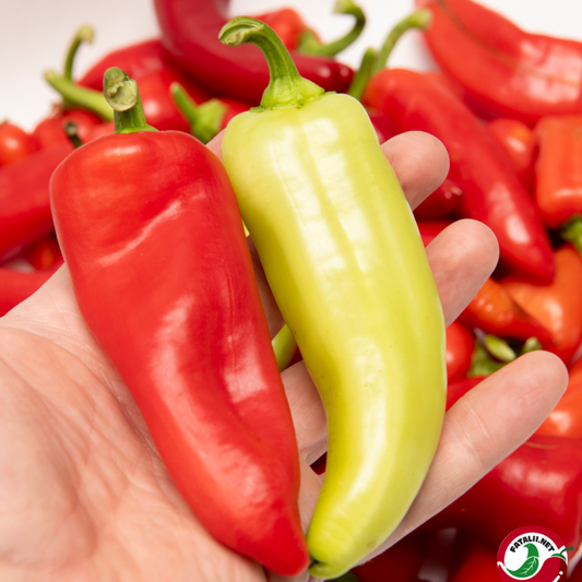 Sweet Banana Peppers 10 Seeds