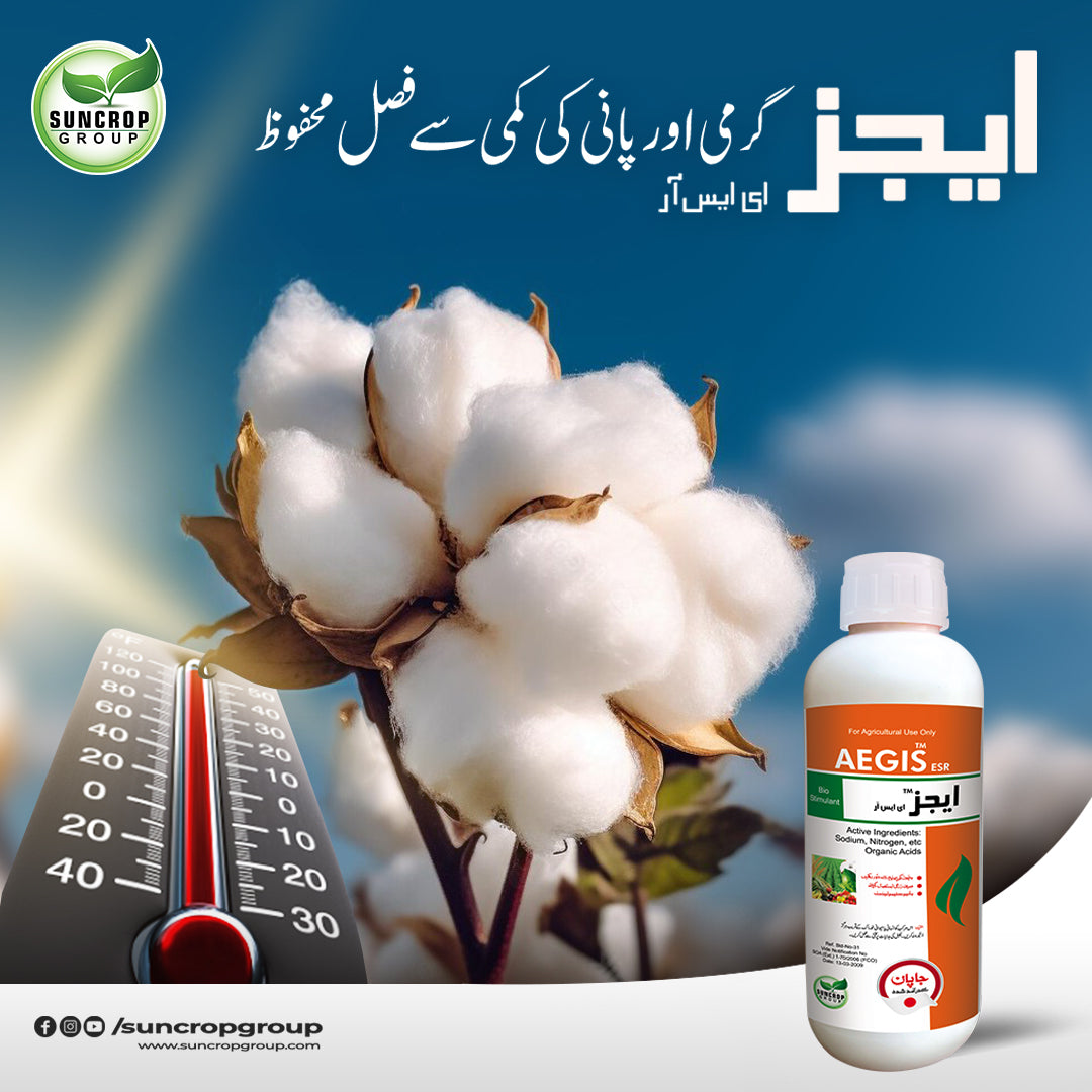 Aegis Bio Stimulant 400ml