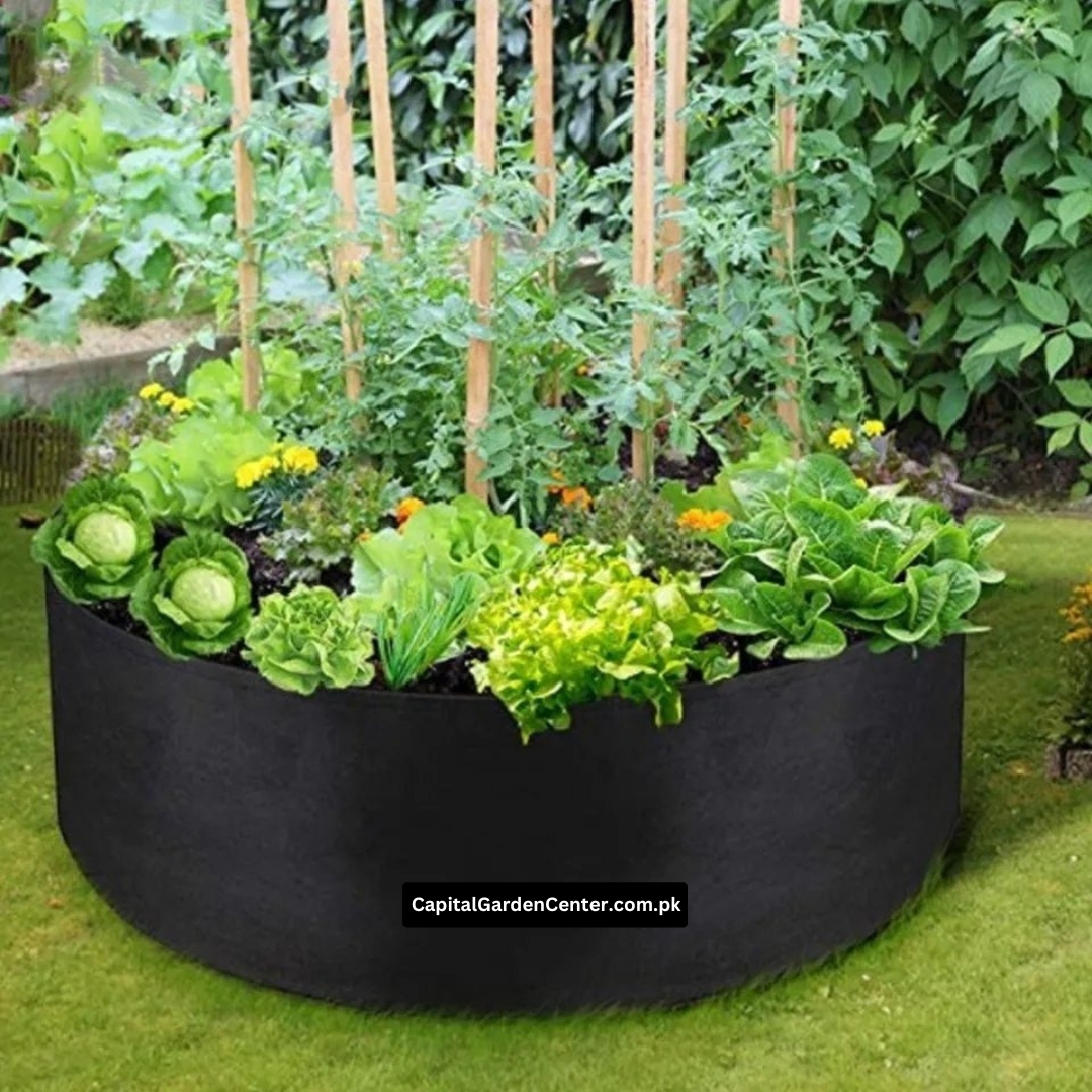 Raised Bed Grow Bag No Handle 24*12 Inches