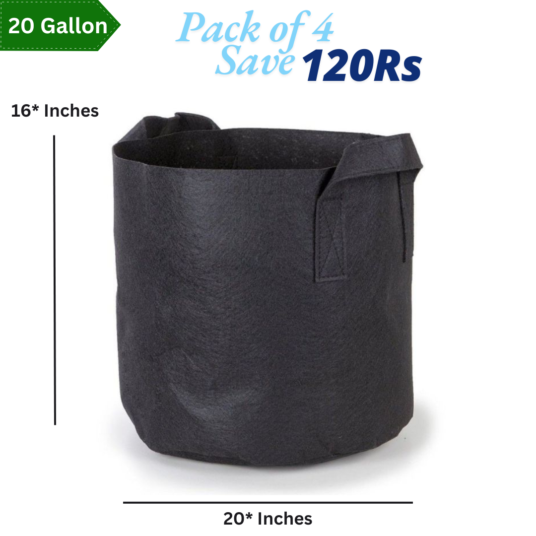 20 Gallon Grow Bag With 4 Handles