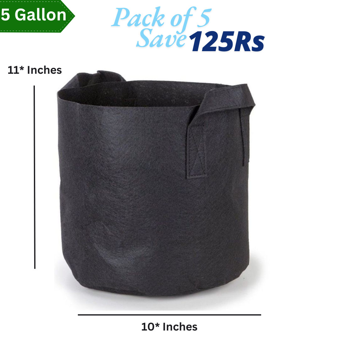 5 Gallon Grow Bag With 2 Handle