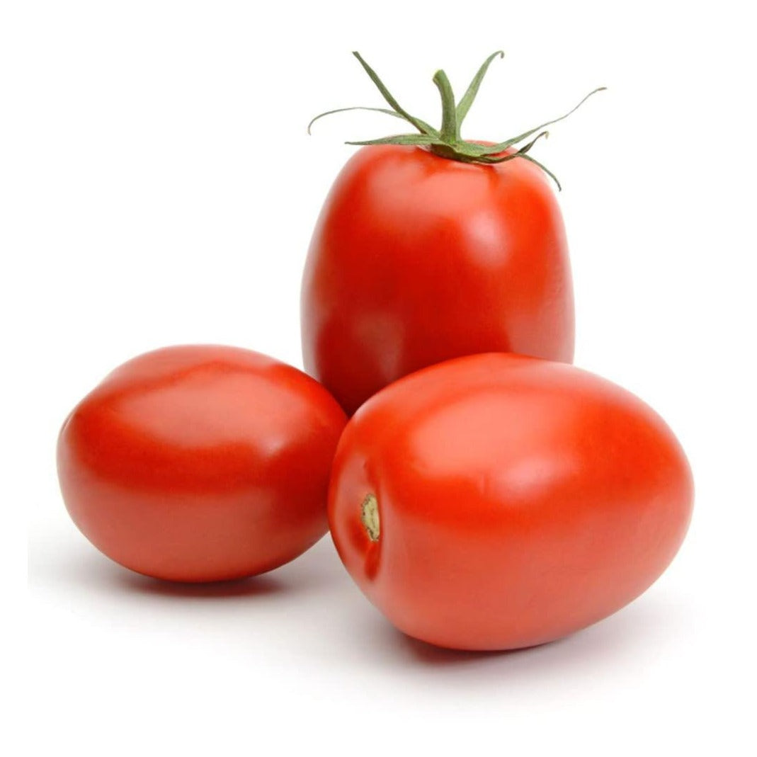 F1 Hybrid Tomatoes 30 Seeds