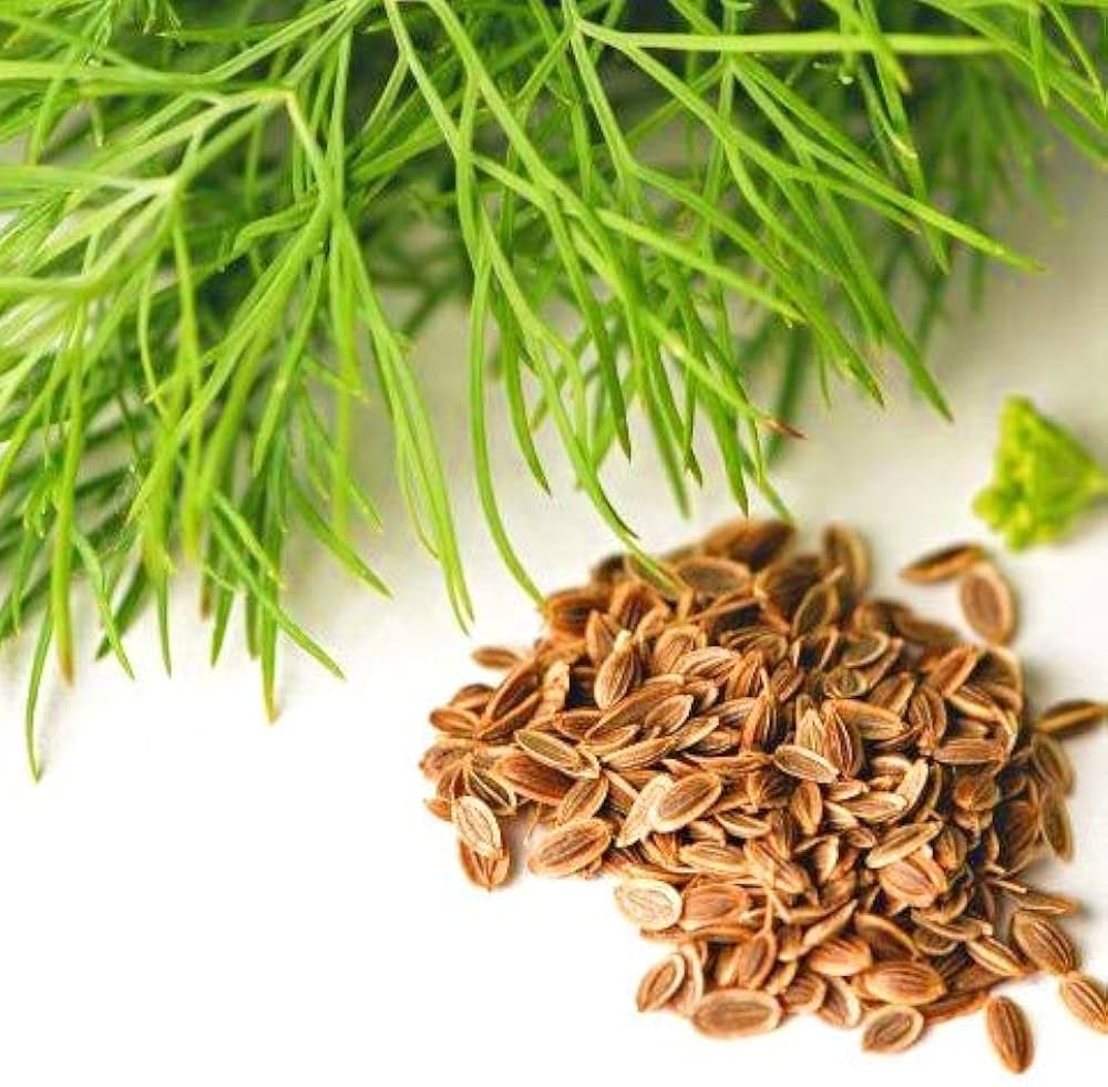 Soya Saag 500+ Seeds
