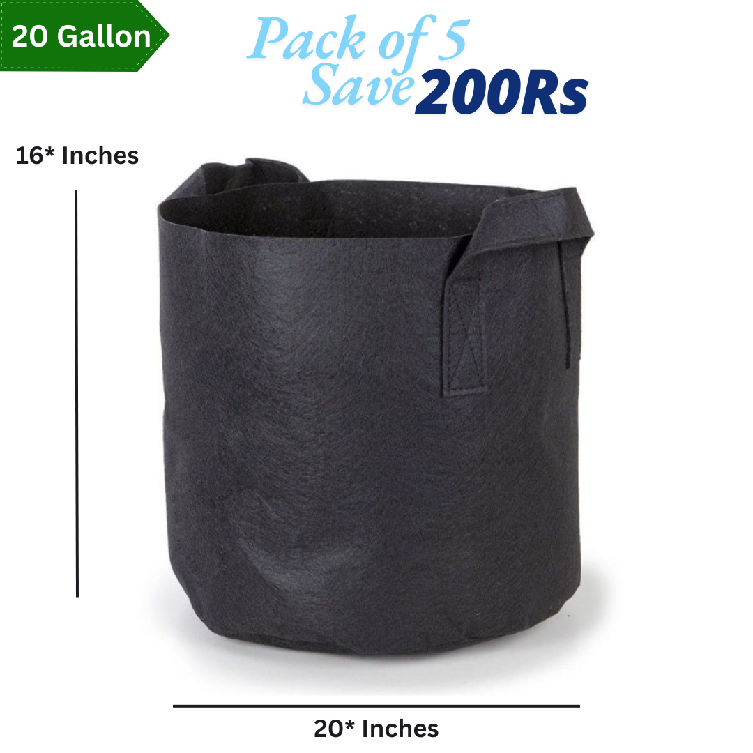 20 Gallon Grow Bag With 4 Handles
