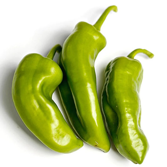 Anaheim Peppers 10 Seeds