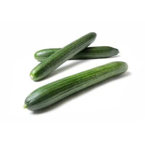 F1 Hybrid Yousef Cucumber 10 Seeds