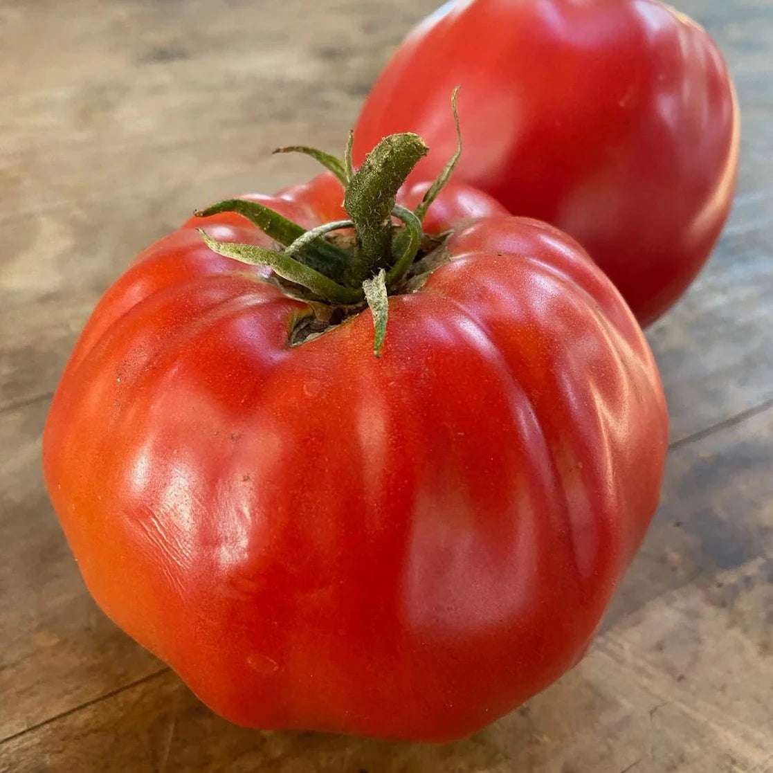 Pomodoro Tomatoes 15 Seeds
