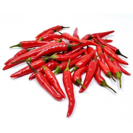 F1 Hybrid Thai Chili 20 Seeds