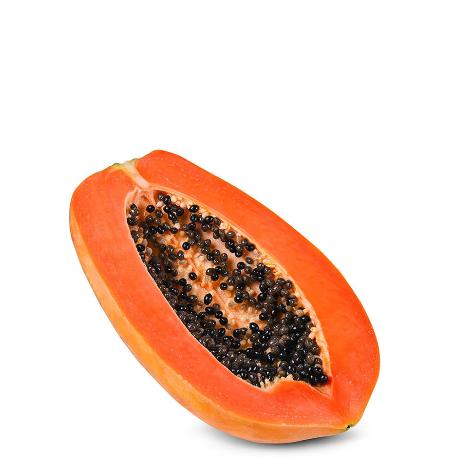 F1 Papaya Red Queen 10 Seeds