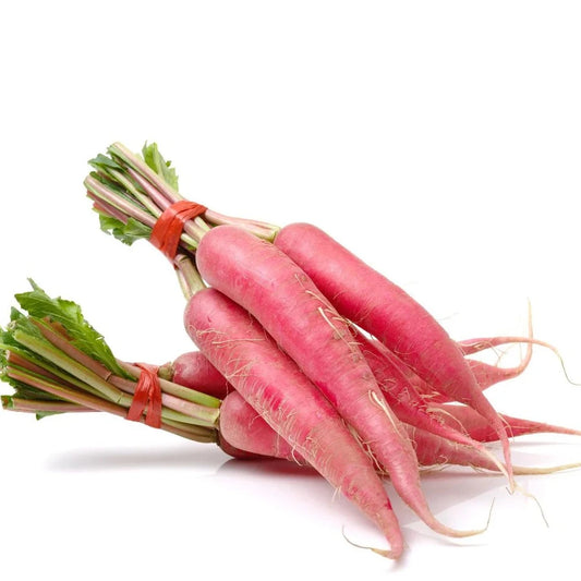 Rubano Radish 30+ Seeds