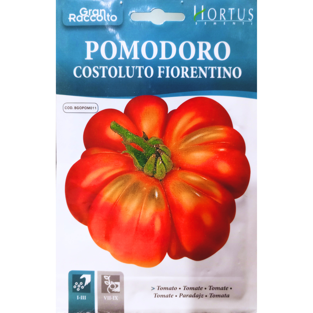 Hortus Pomodoro Costoluto Tomatoes