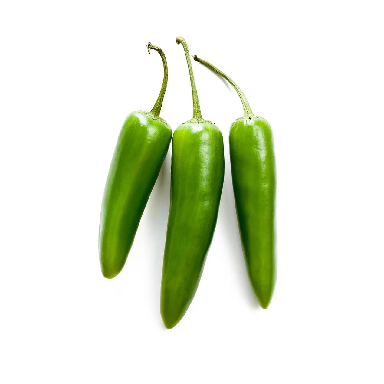 F1 Bullet Chili 20 Seeds