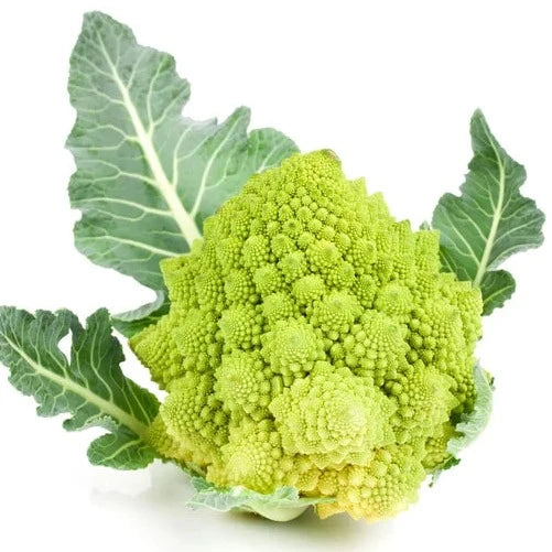 Romensco Cauliflower 20 Seeds
