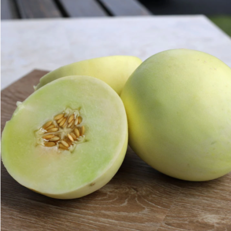 F1 Hybrid Honey Sweet Melon 15 Seeds