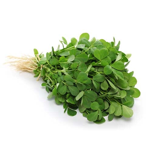 Methi 500+ Seeds