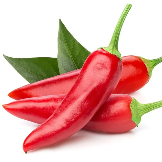 Caynne Peppers 10 Seeds