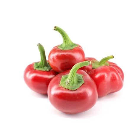 Peminto Peppers 10 Seeds