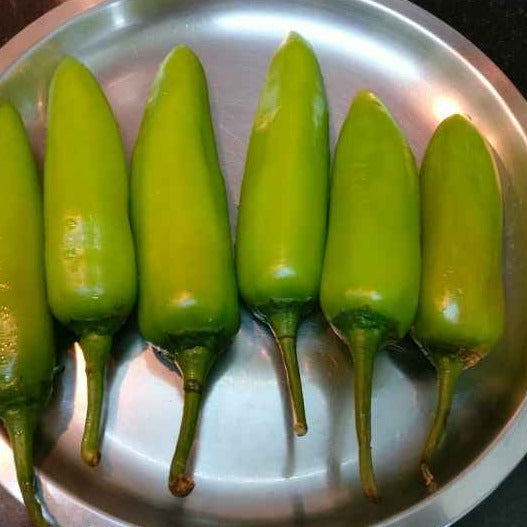 F1 Bullet Chili 20 Seeds