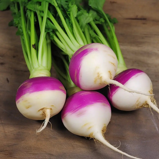 Purple Turnip 500+ Seeds
