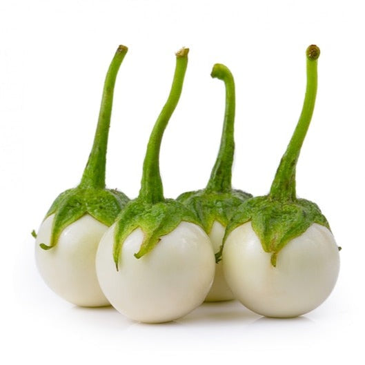 F1 Hybrid Eggplant Round 20 Seeds