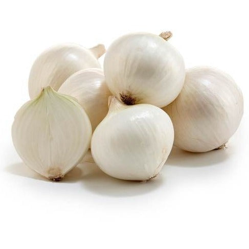 White Onion 40+ Seeds