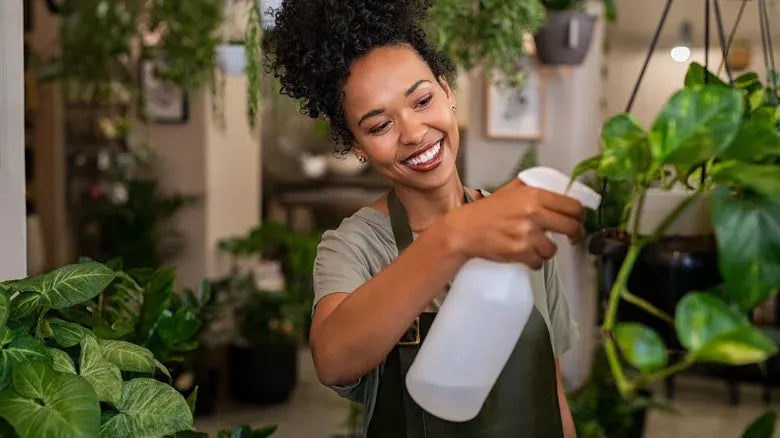 Plants Care