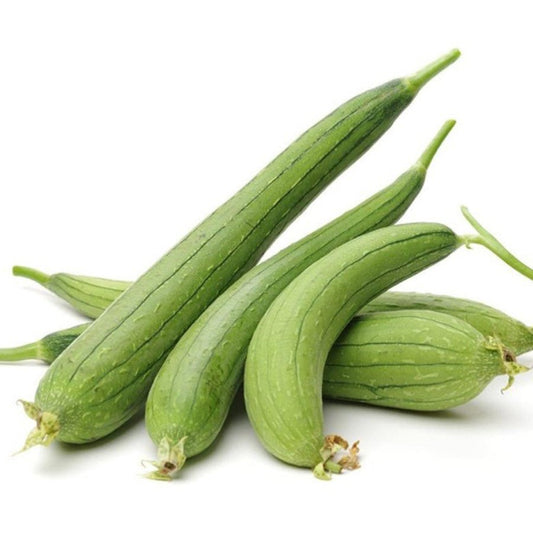 F1 Hybrid Sponge Gourd 10 Seeds