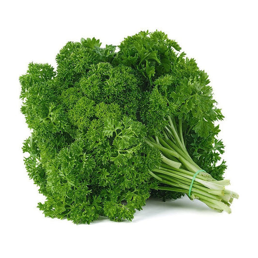 Parsley 50+ Seeds