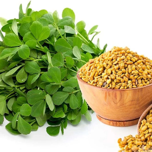 Methi 500+ Seeds