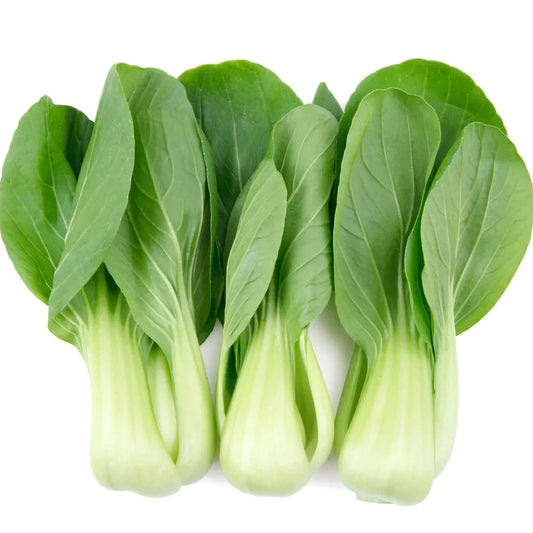 Pak Choy 30 Seeds
