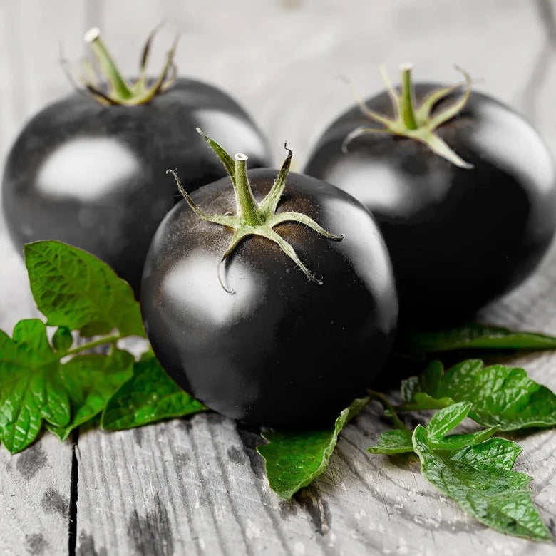 Black Cherry Tomatoes 10 Seeds