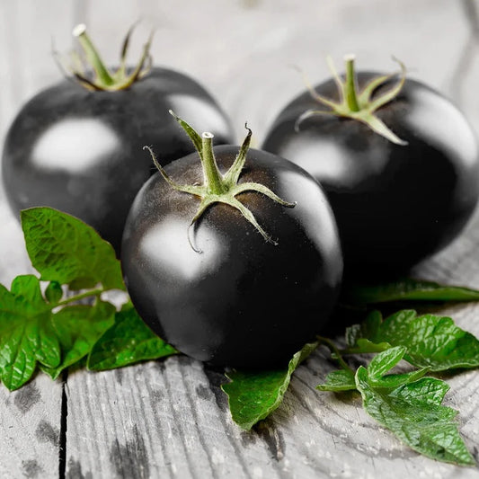 Black Cherry Tomatoes 10 Seeds
