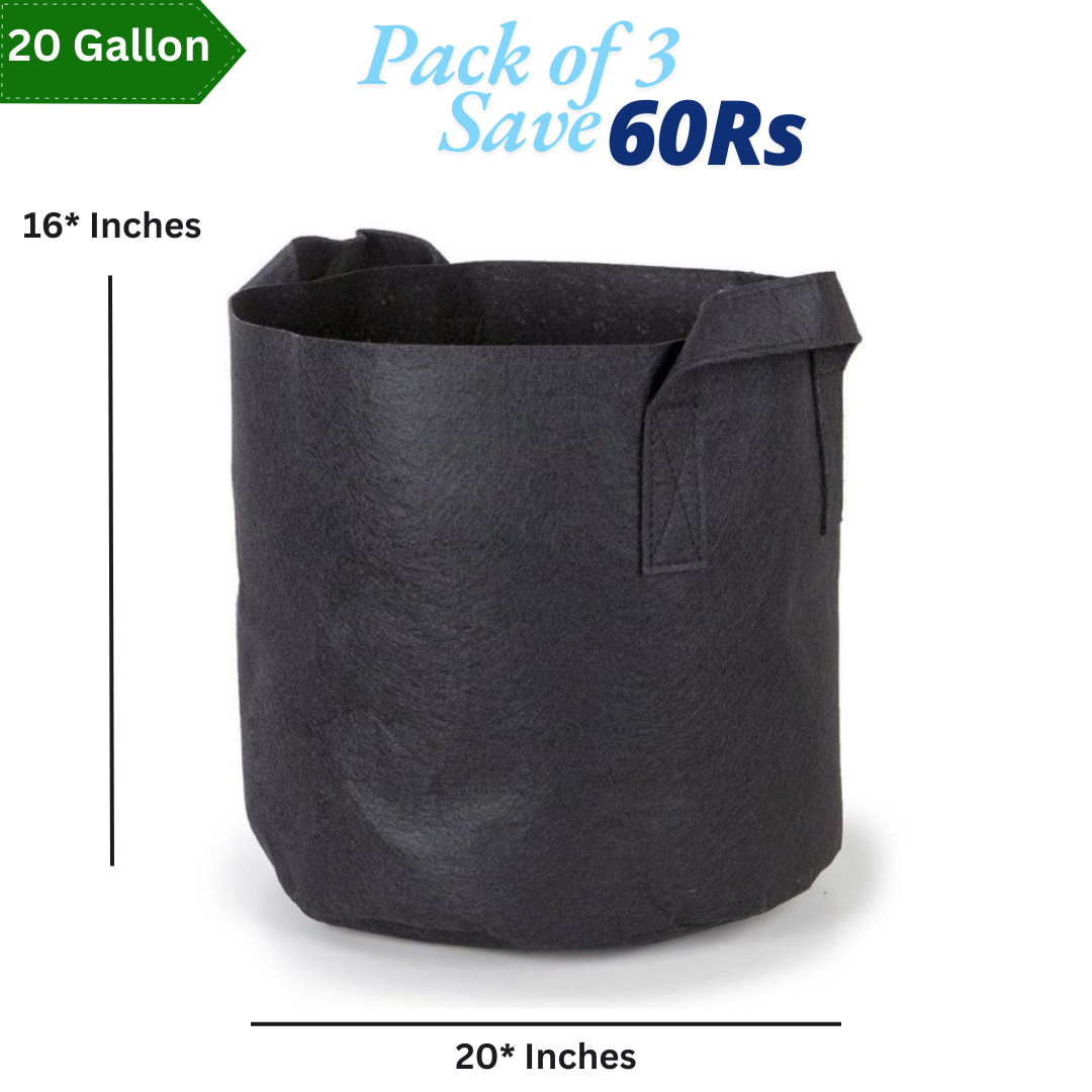 20 Gallon Grow Bag With 4 Handles