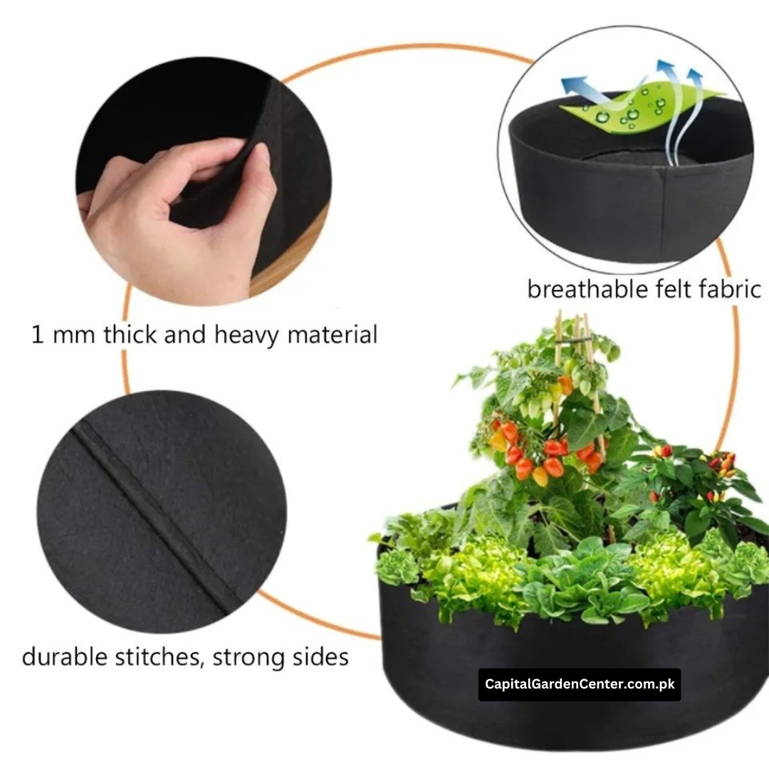 Raised Bed Grow Bag No Handle 24*12 Inches