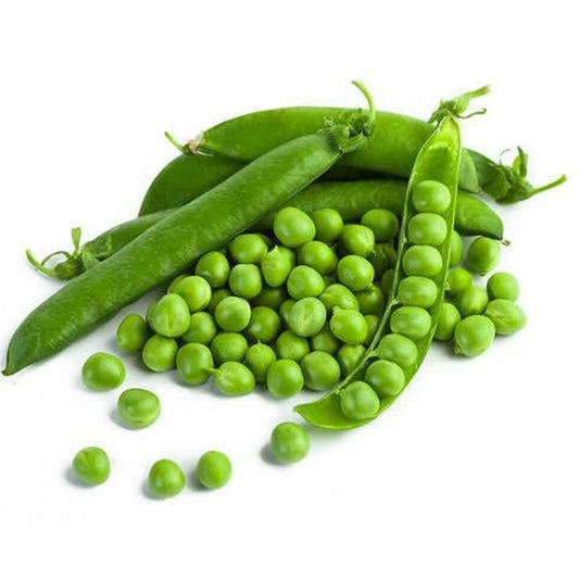 Green Peas 40+ Seeds
