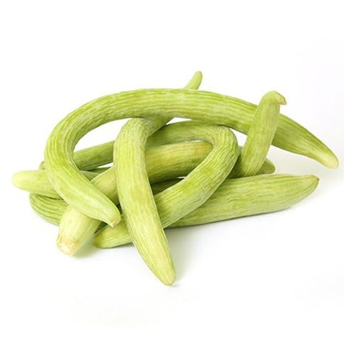 Imported American Cucumber 20+ Seeds
