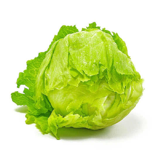 Ice Berg 100+ Seeds
