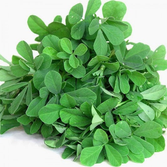 Mathray 500+ Seeds