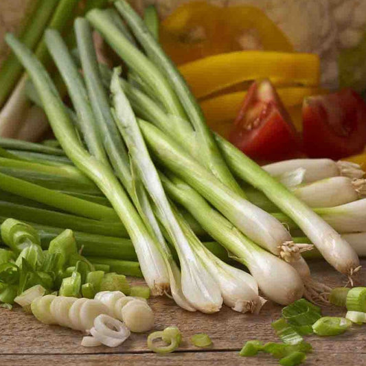 Spring Lisbon Onion 20 Seeds