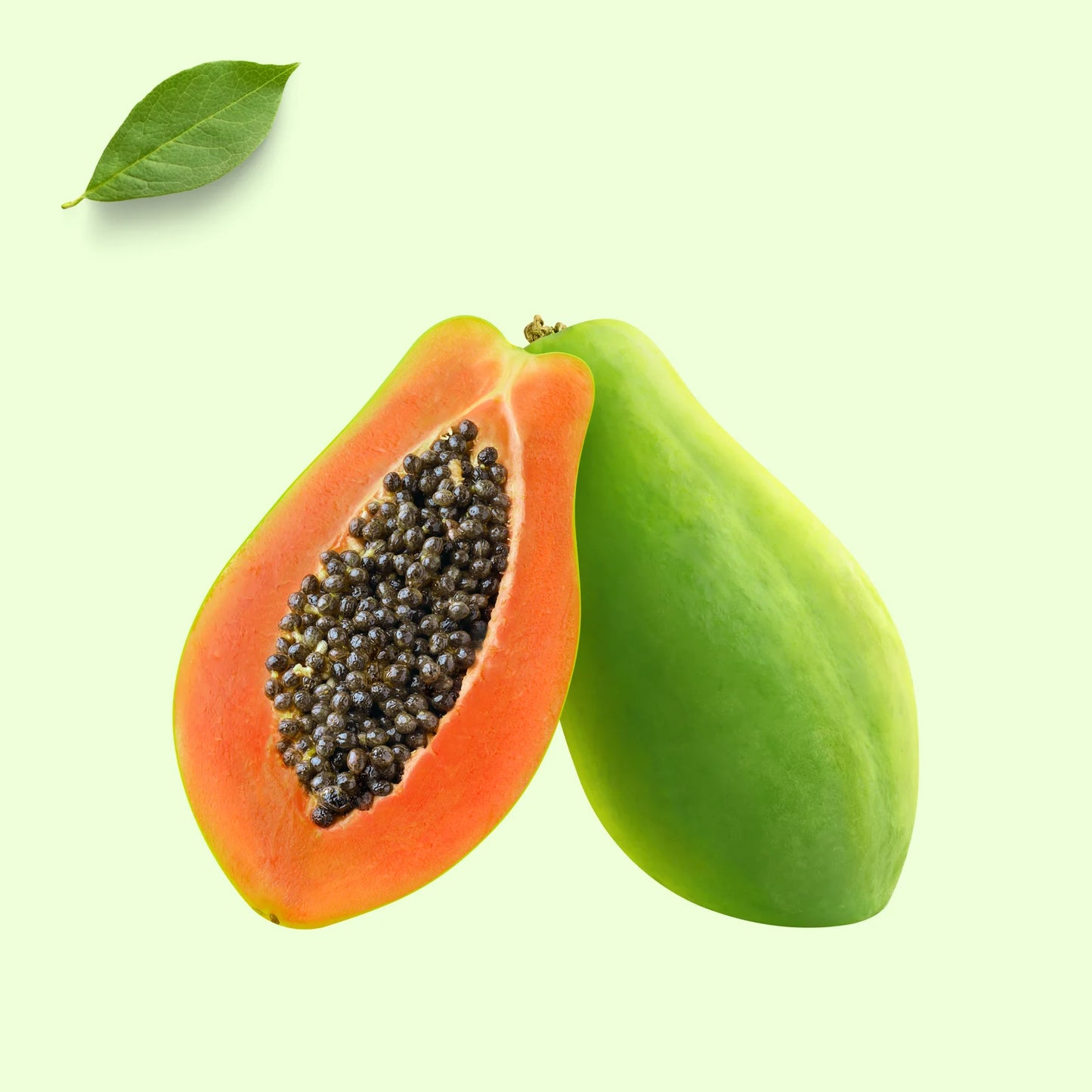 F1 Papaya Red Queen 10 Seeds