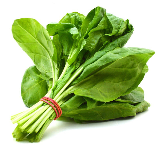 F1 Hybrid Spinach 500+ Seeds