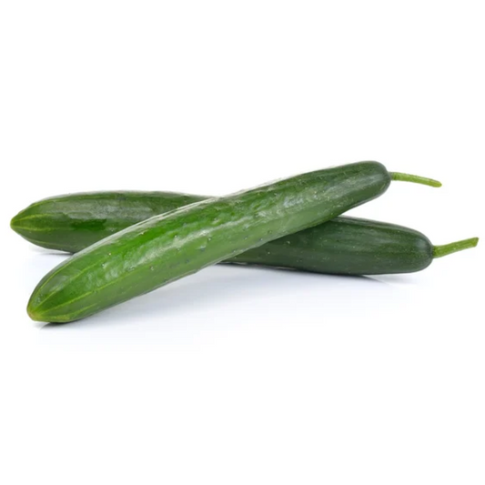 F1 Hybrid Yousef Cucumber 10 Seeds
