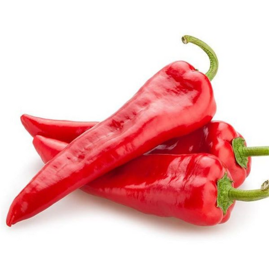 Peperone peppers 10 Seeds