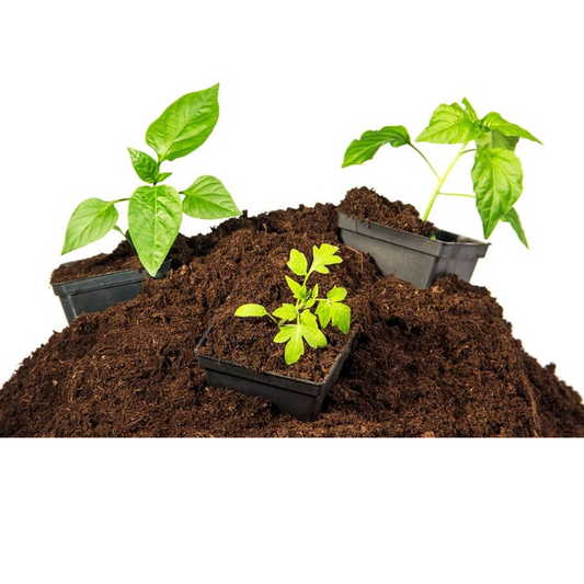 1 Liter Peat Moss Approx. 650 grams